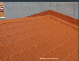 Se realizan todo tipo de tejados goteras