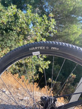 Bicicleta Eléctrica 29