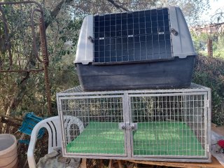 Jaulas para perros y transportín