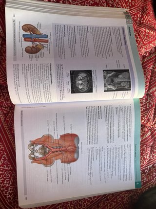 Gray Anatomía básica ELSEVIER
