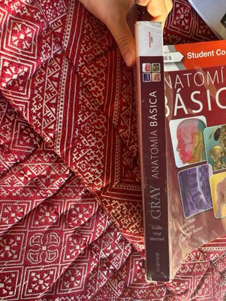 Gray Anatomía básica ELSEVIER