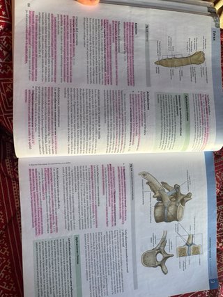 Gray Anatomía básica ELSEVIER