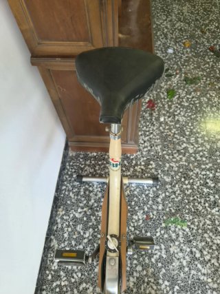 Bicicleta Estática BH Antigua vintage
