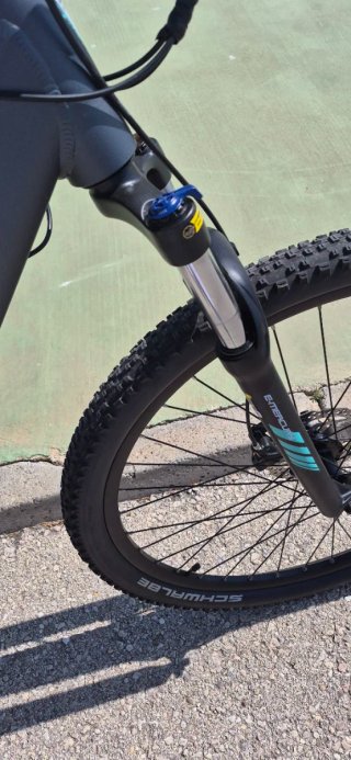 Bicicleta Eléctrica F.lli Schiano 29 solo 240 kilo