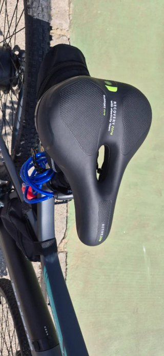 Bicicleta Eléctrica F.lli Schiano 29 solo 240 kilo