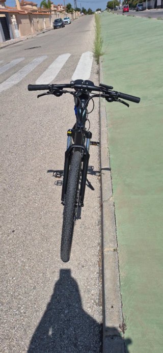 Bicicleta Eléctrica F.lli Schiano 29 solo 240 kilo