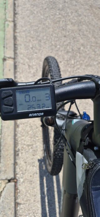 Bicicleta Eléctrica F.lli Schiano 29 solo 240 kilo