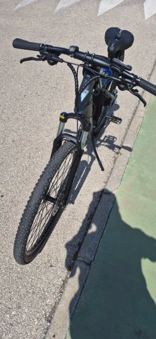 Bicicleta Eléctrica F.lli Schiano 29 solo 240 kilo