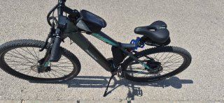 Bicicleta Eléctrica F.lli Schiano 29 solo 240 kilo