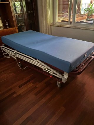Cama articulada hospitalaria