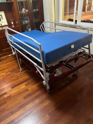 Cama articulada hospitalaria