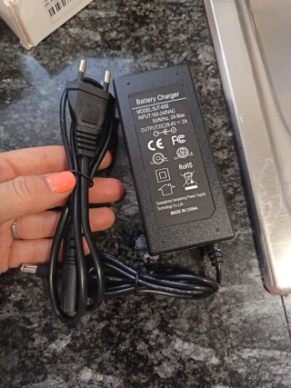 Cargador Batería SJT-65E 29.4V 2A