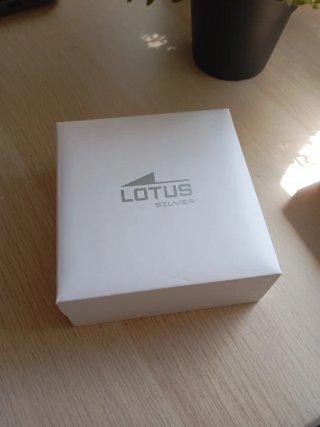 Colgante Lotus Silver Doble Estrella