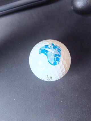 Pack 13 pelotas de golf variadas