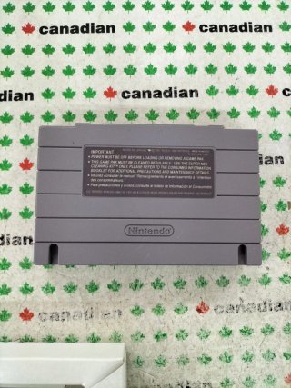 Secret of Evermore Super Nintendo SNES