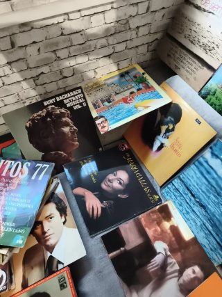 Lote 53 Vinilos lp y 9 singles