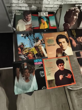 Lote 53 Vinilos lp y 9 singles