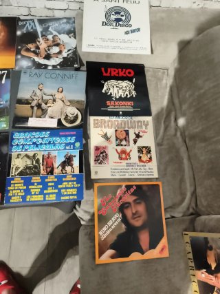 Lote 53 Vinilos lp y 9 singles