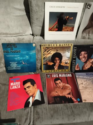 Lote 53 Vinilos lp y 9 singles