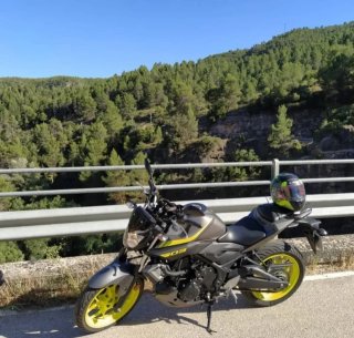 Yamaha MT-03 ABS 2017 Gris/Amarillo