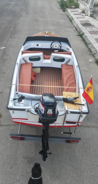 Motor fueraborda para barco