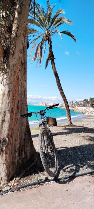 Bicicleta de Montaña BH Spike Talla M