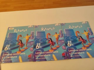 Lengua Castellana y Literatura . 6 Primaria. SM