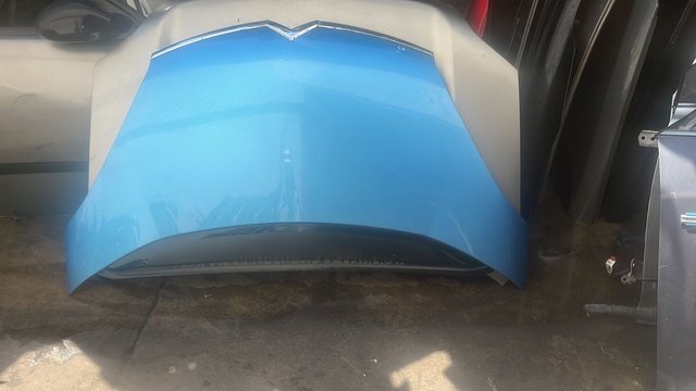 Capó Citroën C4 Picasso 2011 Azul