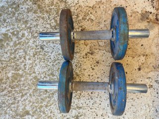 Disco pesa 2 1/2 kg hierro azul
