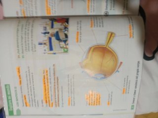 Libros de texto 3° de primaria