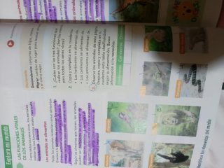 Libros de texto 3° de primaria