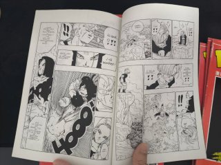 25 Comics Dragon Ball serie roja