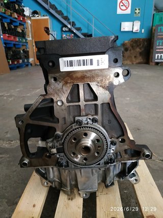 Bloque Motor Audi A3 1.6TDI CXX