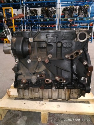 Bloque Motor Audi A3 1.6TDI CXX