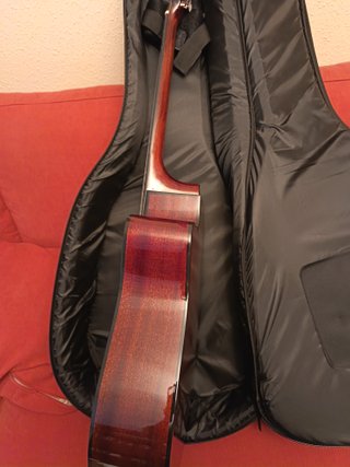 Guitarra Acústica Fender con Funda