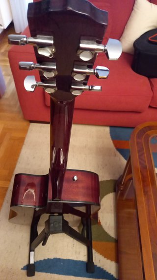 Guitarra Acústica Fender con Funda