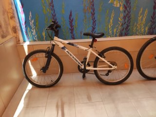 Bicicletas Blancas Niños y Adultos. Ruedines tambi