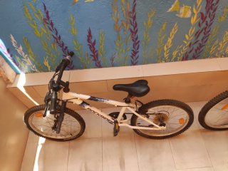 Bicicletas Blancas Niños y Adultos. Ruedines tambi