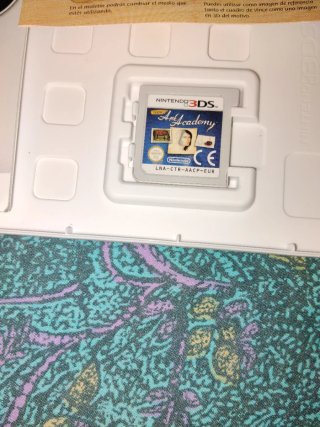 New Art Academy Nintendo 3DS