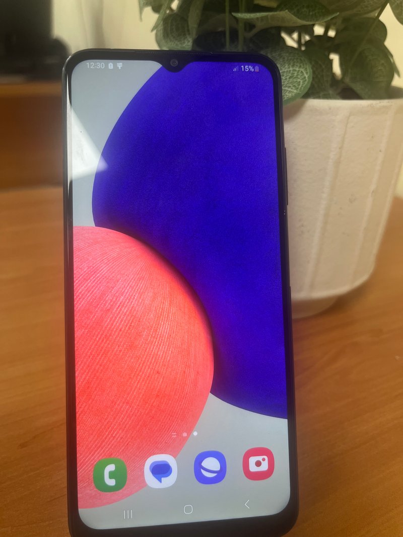 Samsung Galaxy A22 (ref. 123391)
