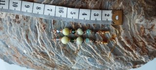 Pendientes Artesanales Verdes y Dorados