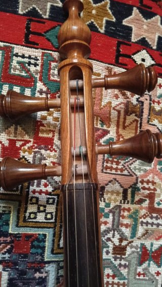 Kamanche profesional música persa