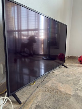 Smart TV LG 55” + Barra Sonido LG