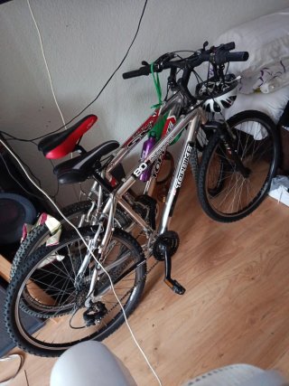 2 visicletas topvike en bue estad 170