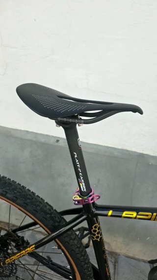 Bicicleta Lapierre Negra y Dorada