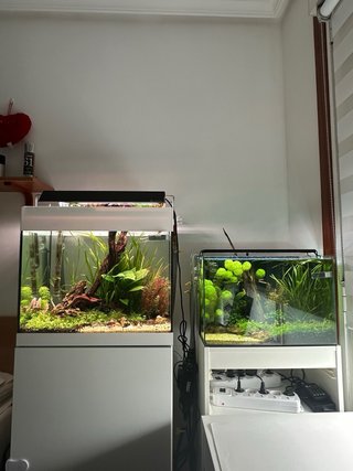 Acuario completo con mueble