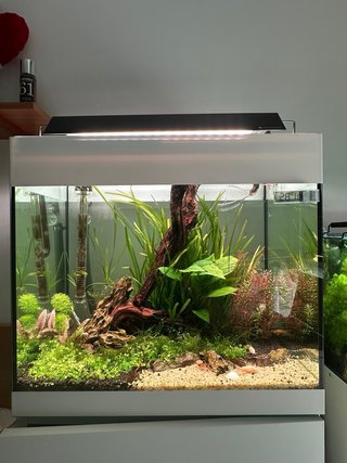 Acuario completo con mueble