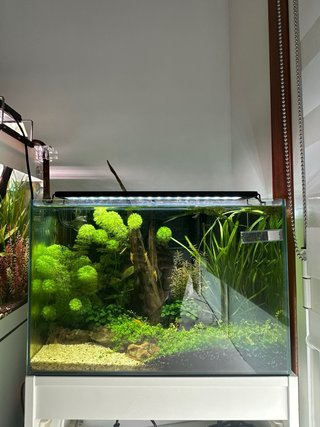 Acuario completo con mueble