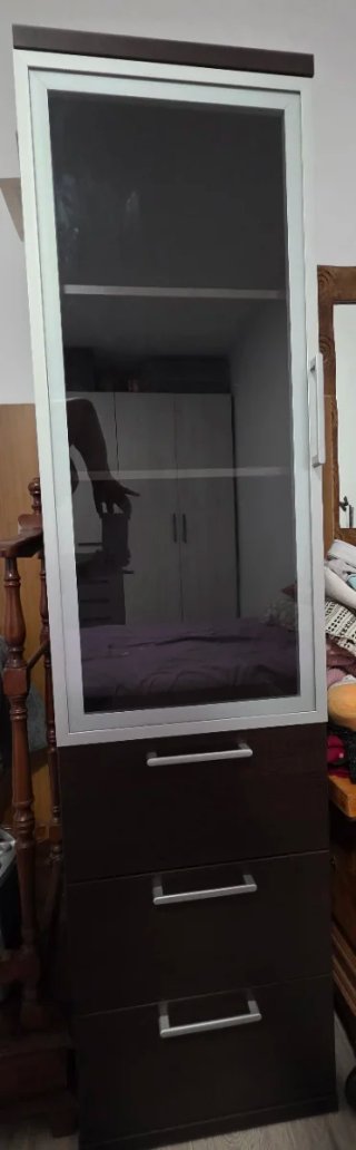 Vitrina de madera y cristal