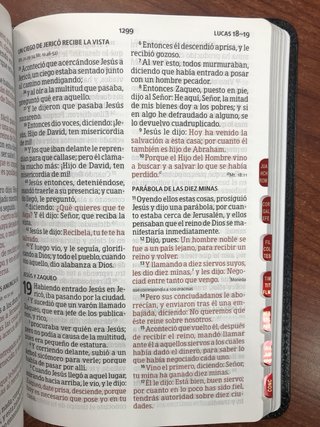 Biblia RVR 1960 Letra grande